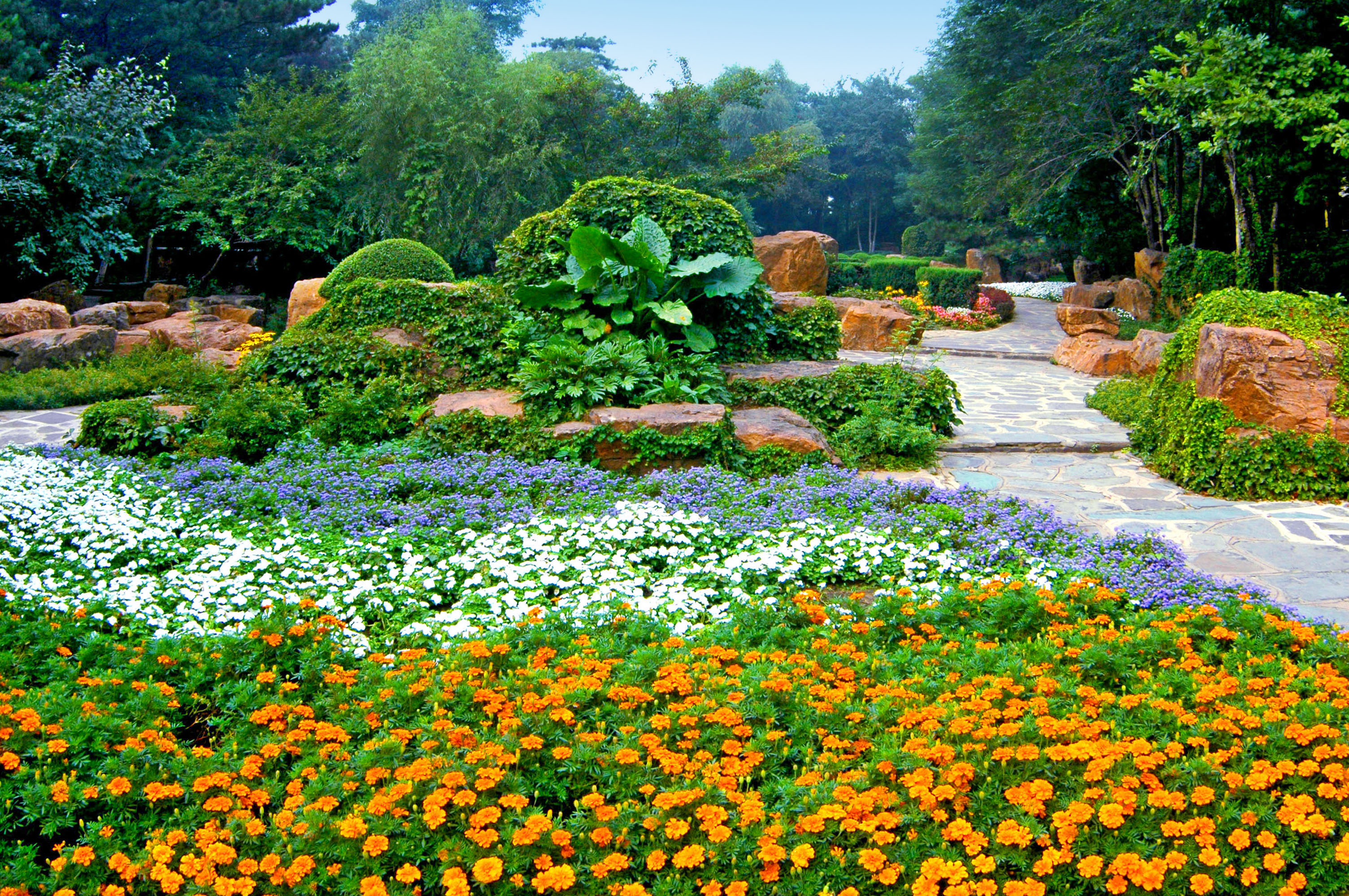 沈阳市植物园