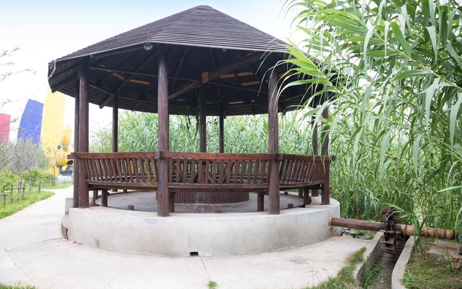 洪泽湖湿地