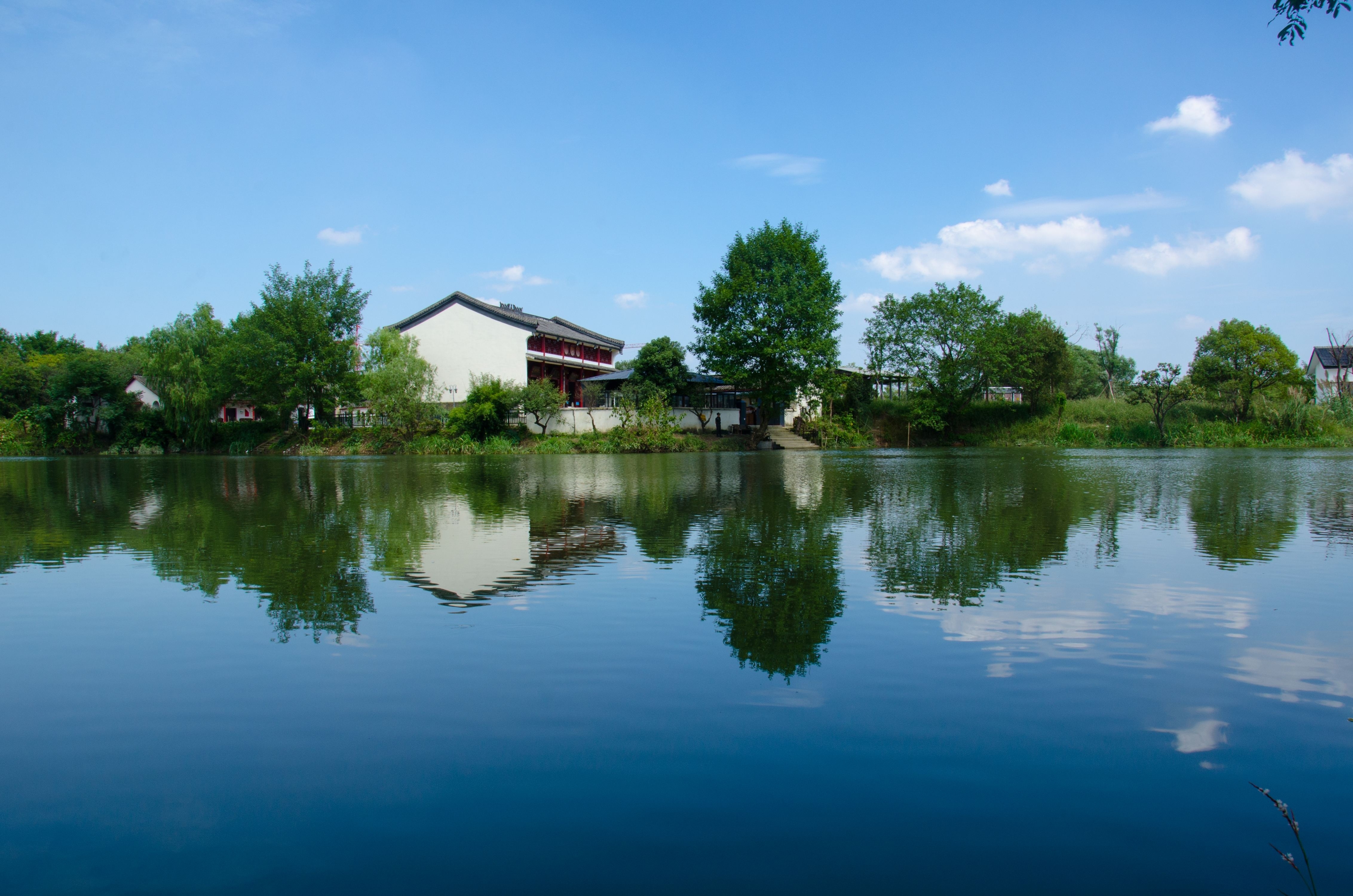 西溪湿地