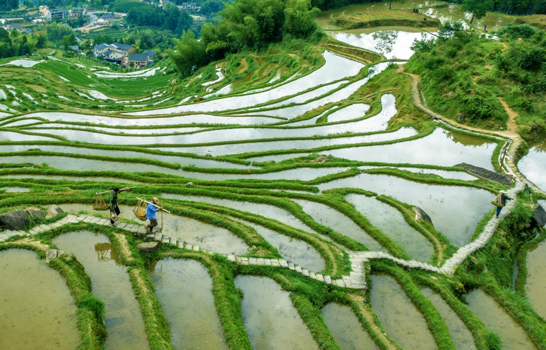 云和梯田