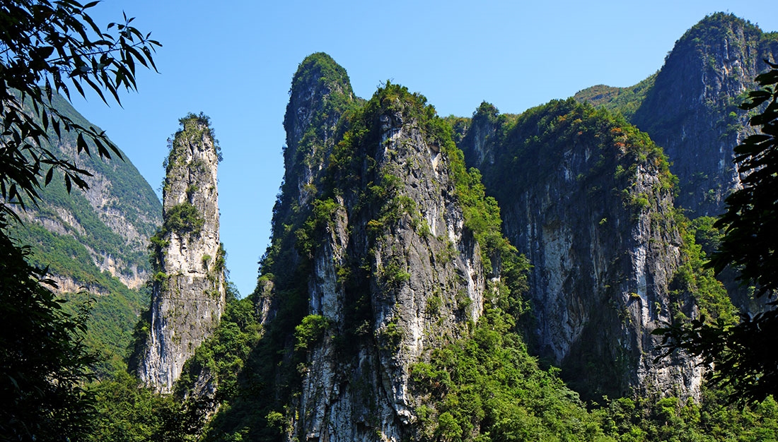 龙缸