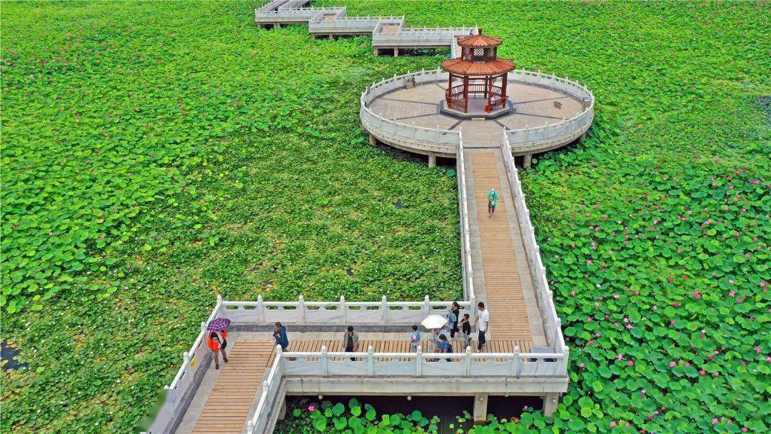 白银黄河湿地公园