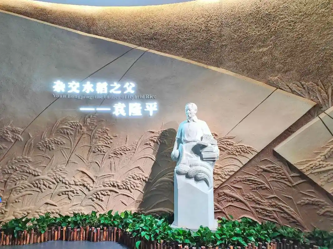 隆平水稻博物馆