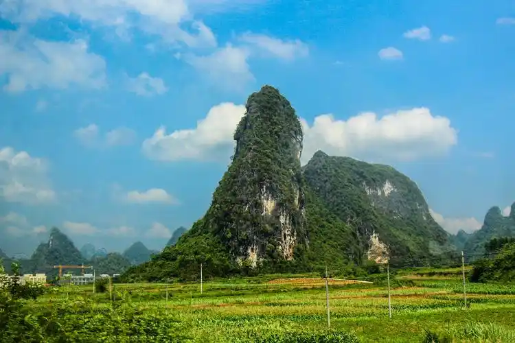 莲花山