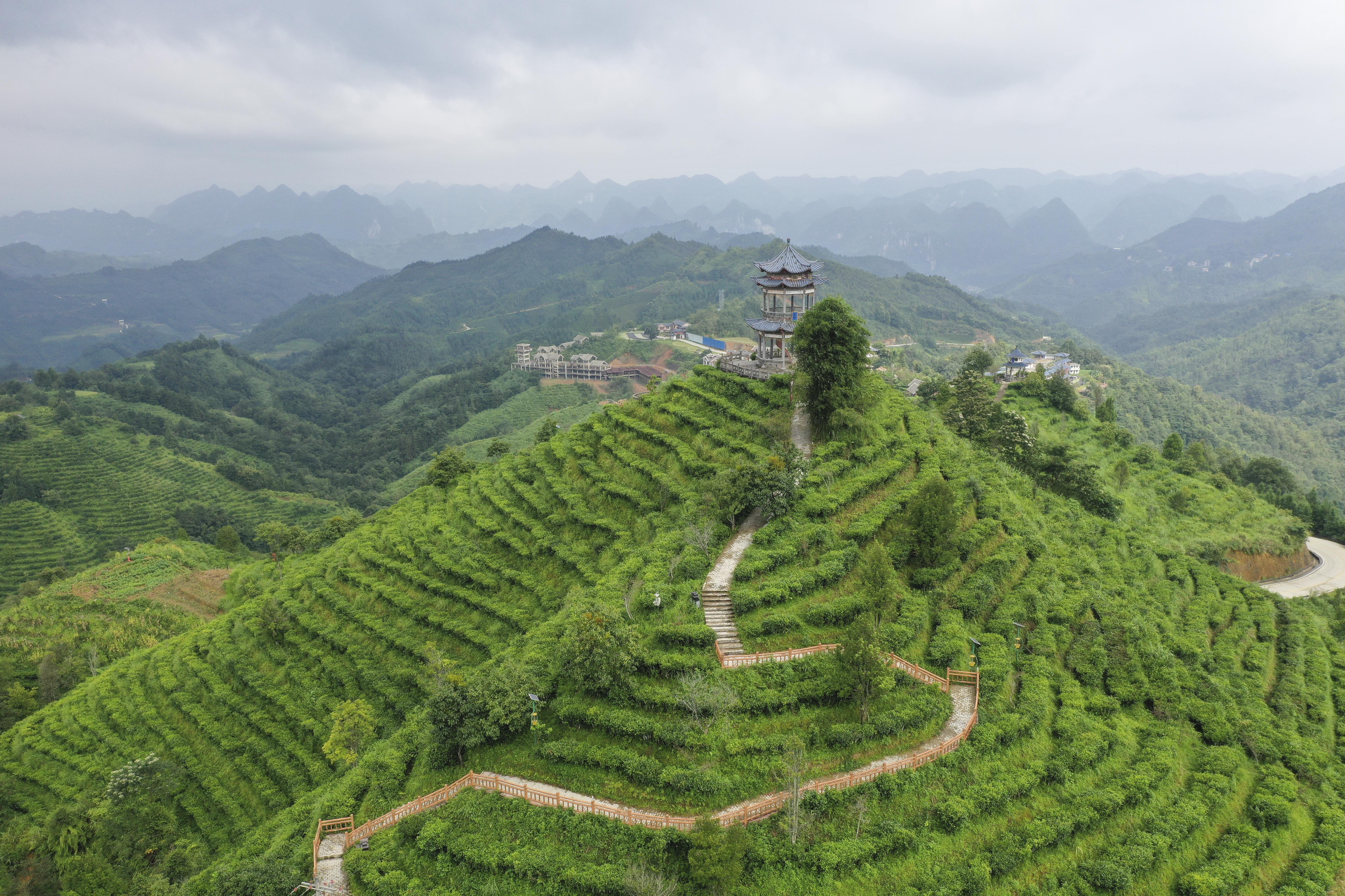 茶山金字塔