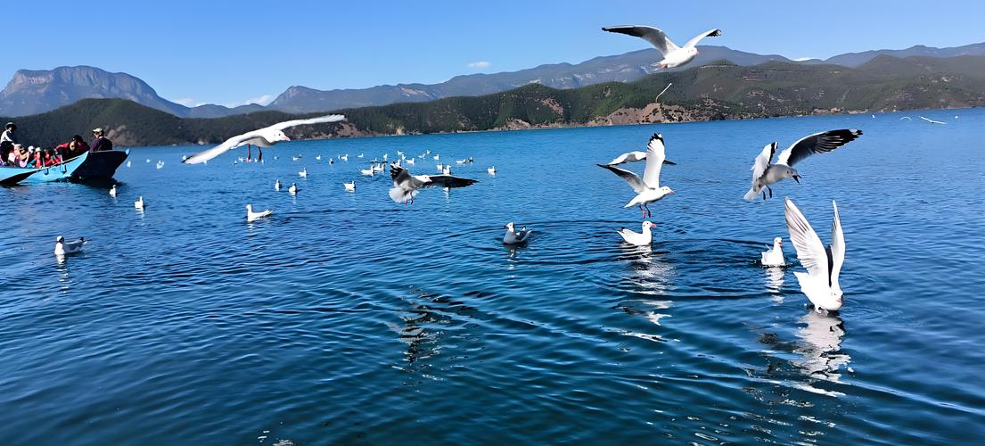 泸沽湖
