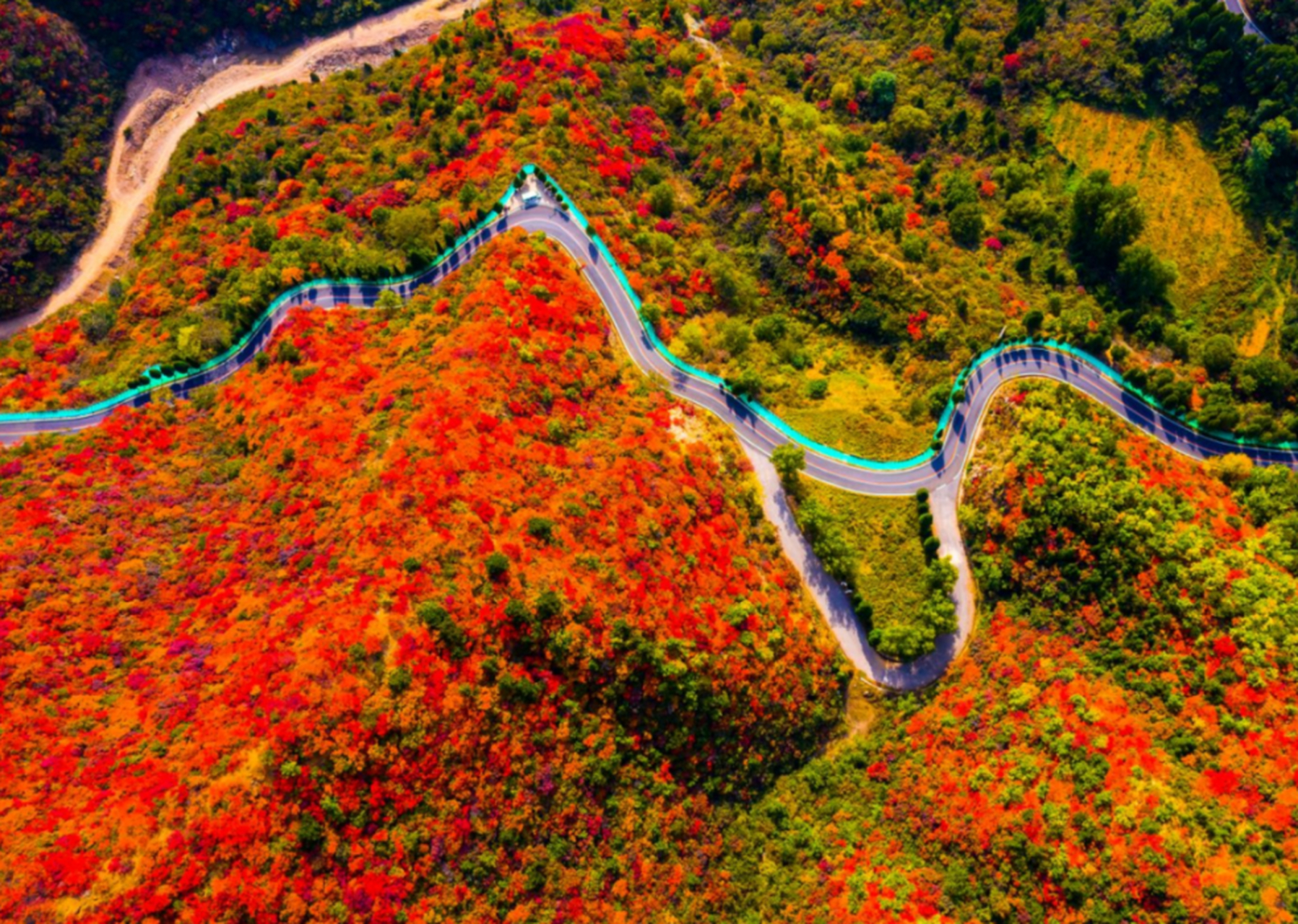 王屋山