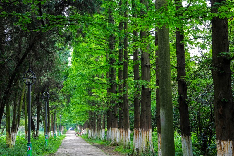 花溪城市湿地公园