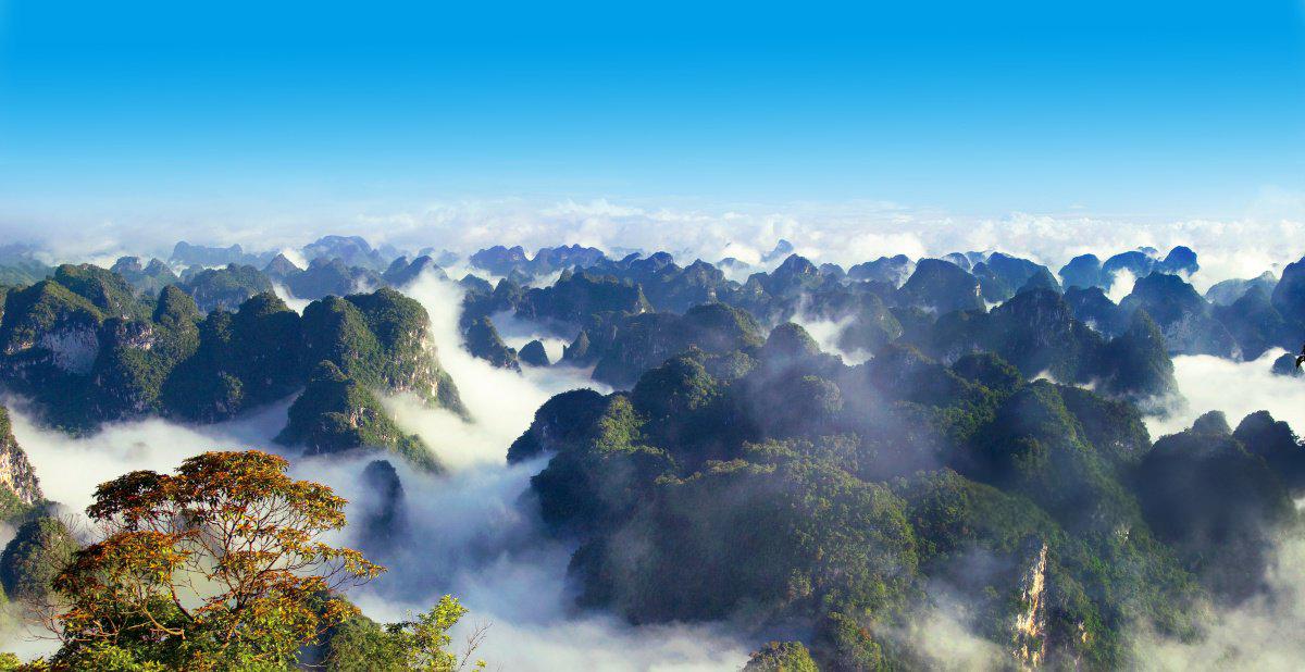 弄岗自然保护区
