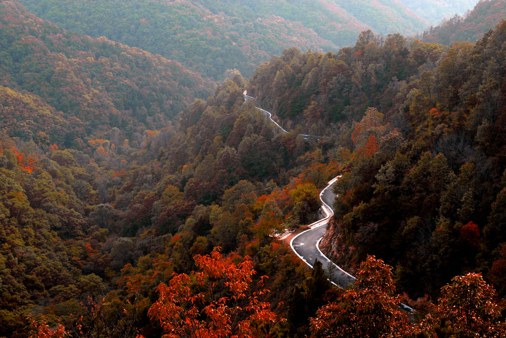 甘山森林公园