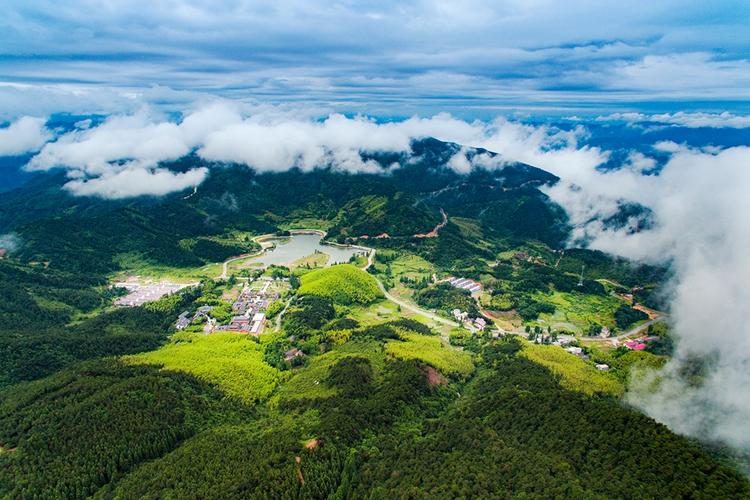 黄柏山