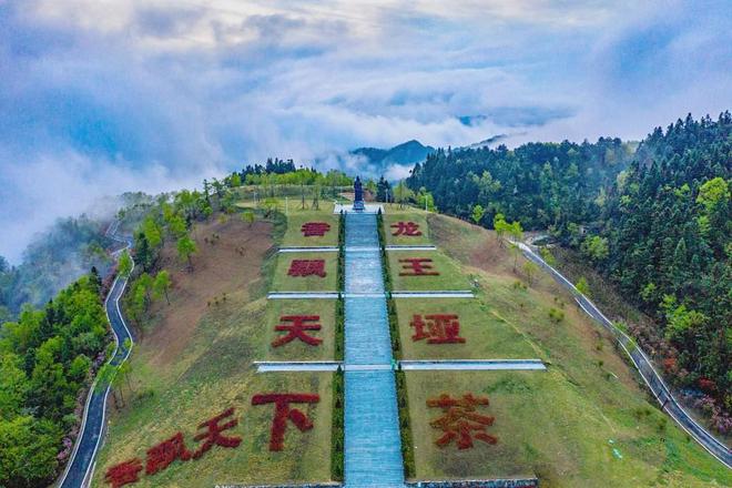 龙王垭观光茶园