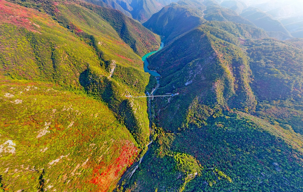 五龙河