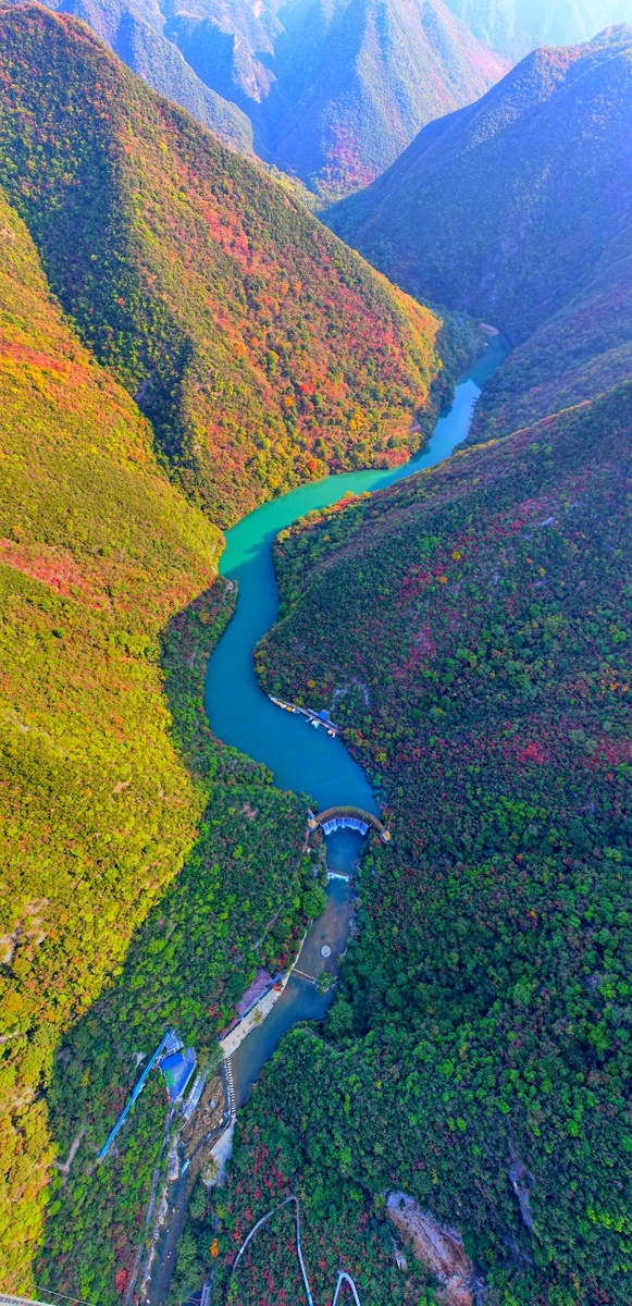 五龙河