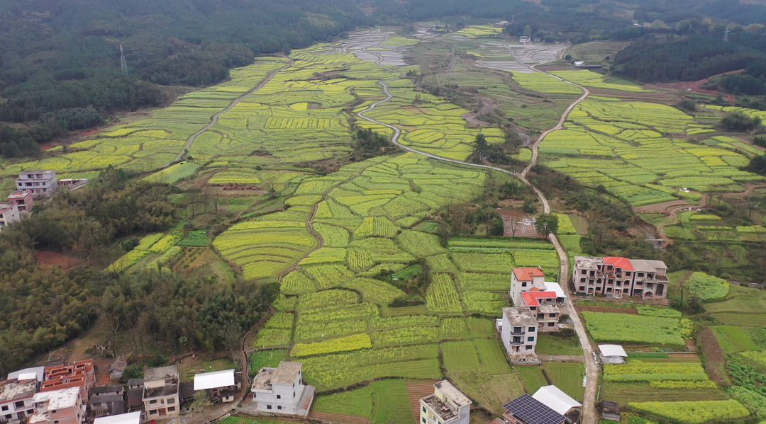 千家峒